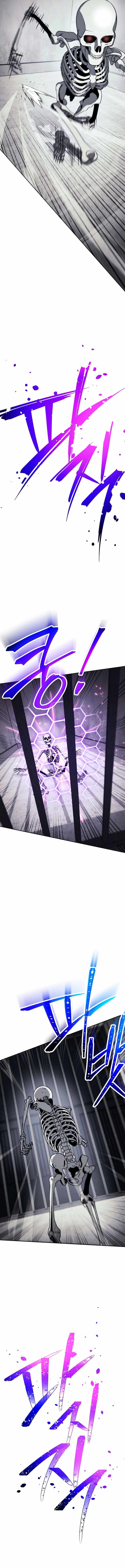 Skeleton Soldier Couldnt Protect The Dungeon 227 11