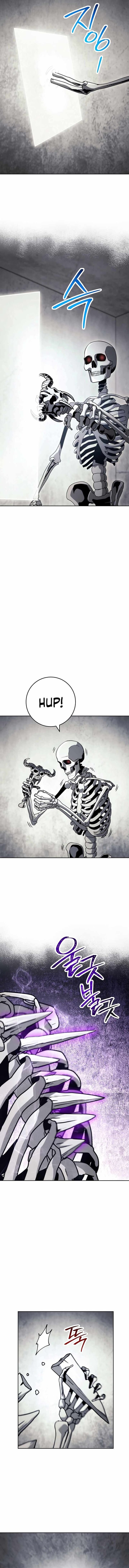 Skeleton Soldier Couldnt Protect The Dungeon 227 5