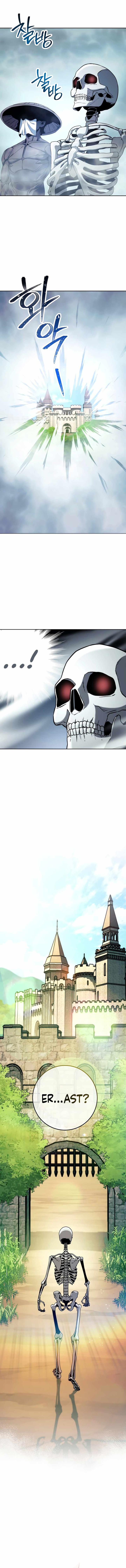 Skeleton Soldier Couldnt Protect The Dungeon 230 8