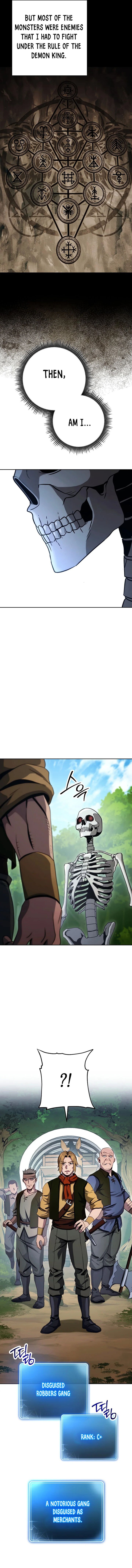 Skeleton Soldier Couldnt Protect The Dungeon 245 20