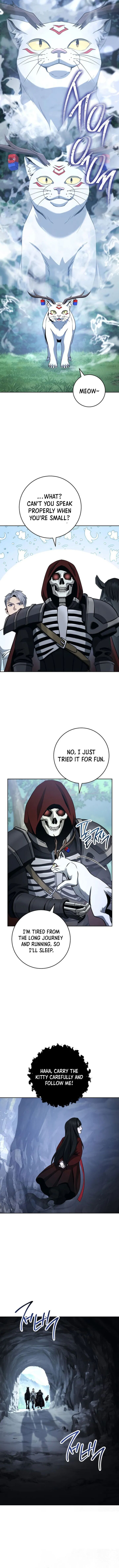 Skeleton Soldier Couldnt Protect The Dungeon 315 4