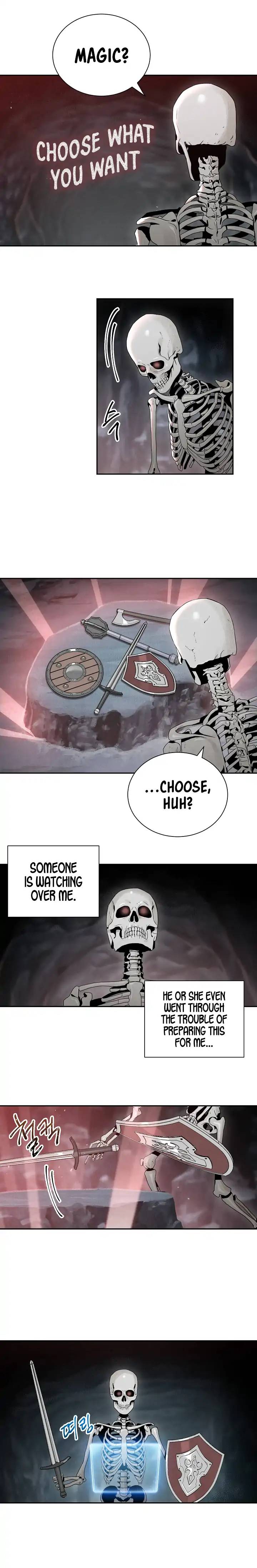 Skeleton Soldier Couldnt Protect The Dungeon 47 17