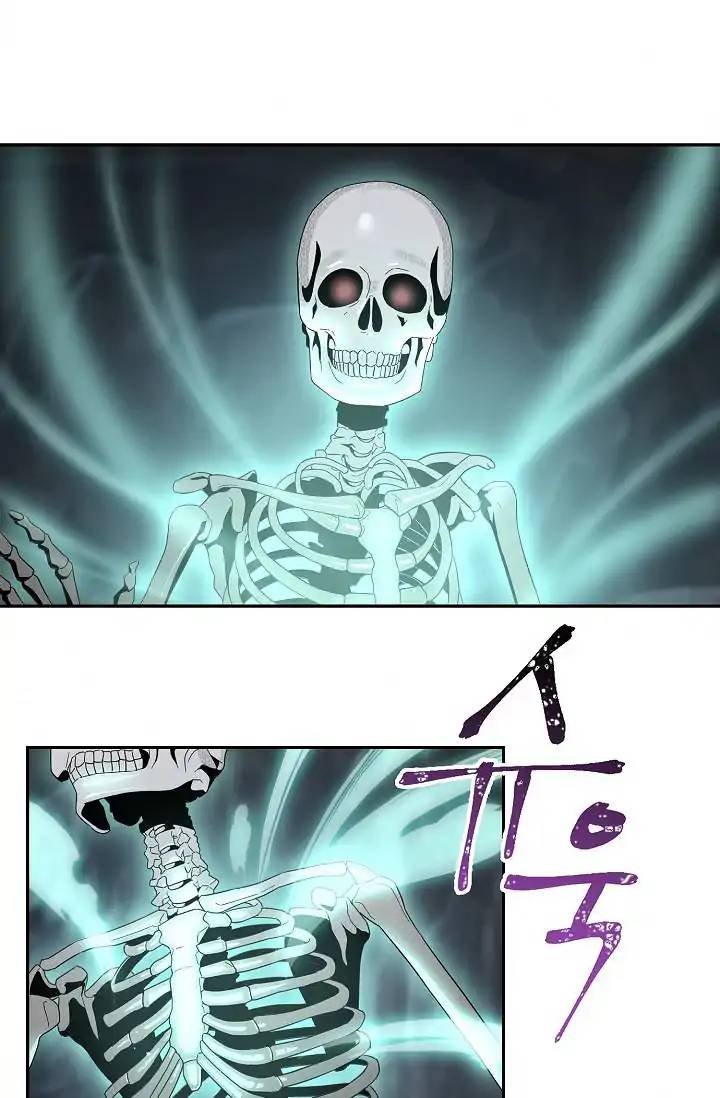 Skeleton Soldier Couldnt Protect The Dungeon 50 5