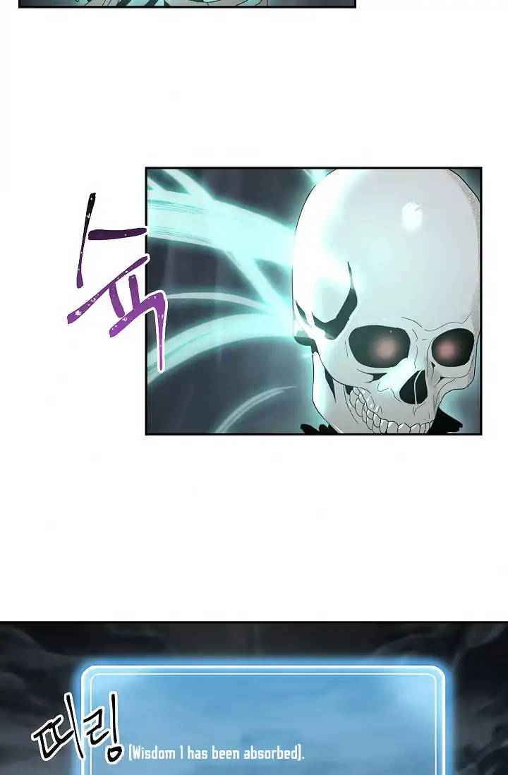 Skeleton Soldier Couldnt Protect The Dungeon 50 6