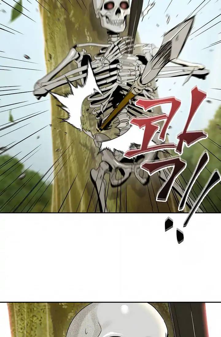 Skeleton Soldier Couldnt Protect The Dungeon 50 63