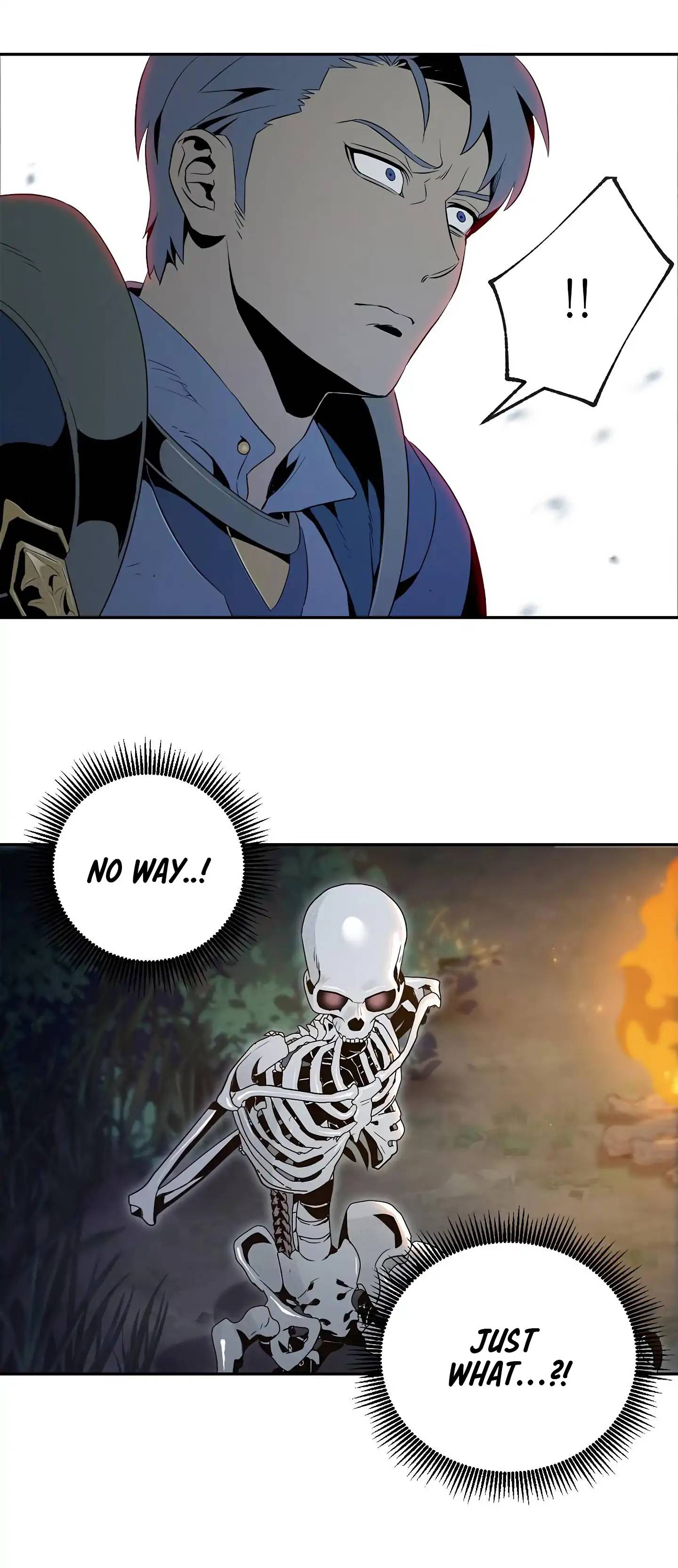 Skeleton Soldier Couldnt Protect The Dungeon 60 36