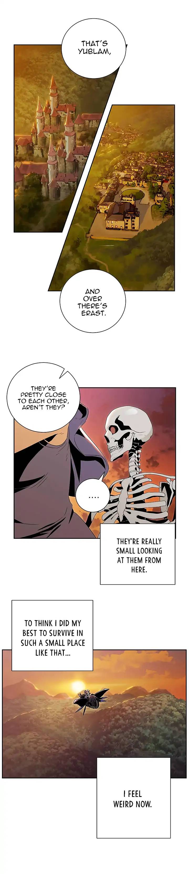 Skeleton Soldier Couldnt Protect The Dungeon 62 5