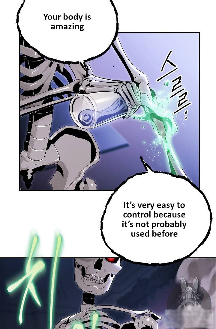 Skeleton Soldier Couldnt Protect The Dungeon 74 44