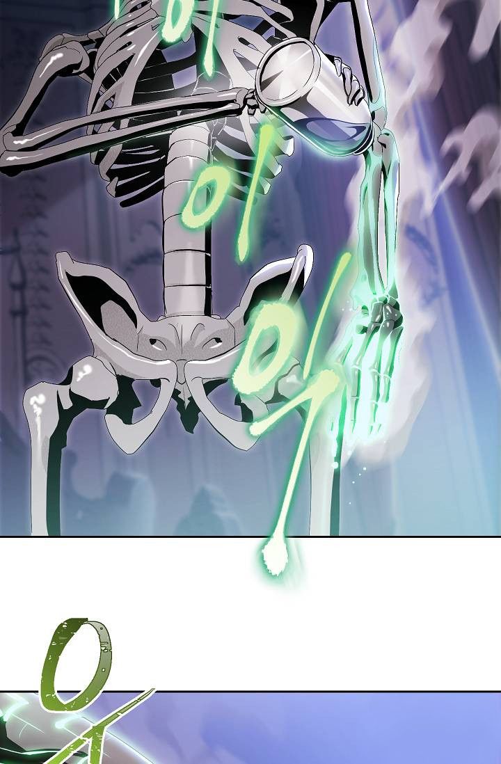 Skeleton Soldier Couldnt Protect The Dungeon 74 45
