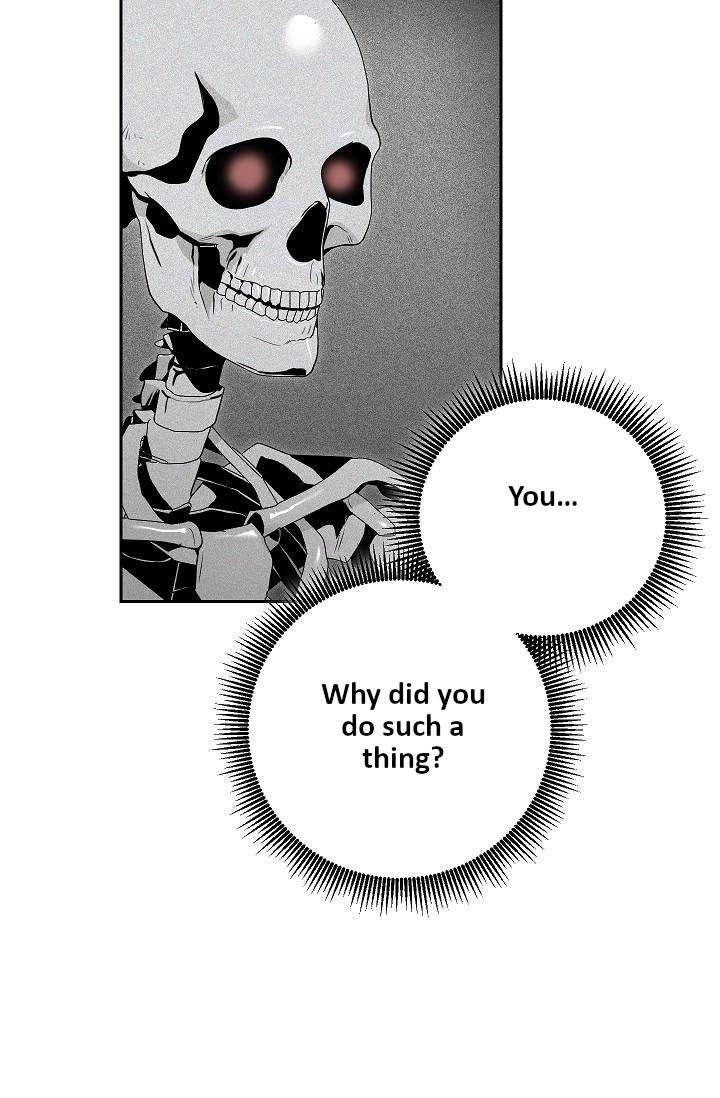 Skeleton Soldier Couldnt Protect The Dungeon 75 27