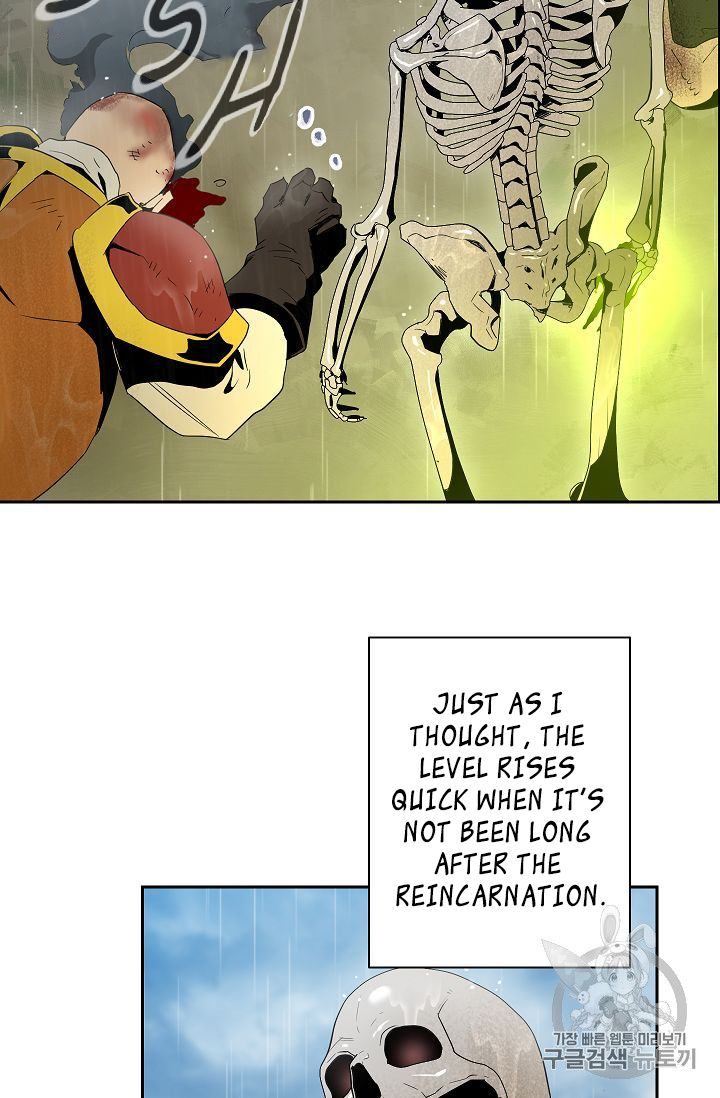 Skeleton Soldier Couldnt Protect The Dungeon 88 62