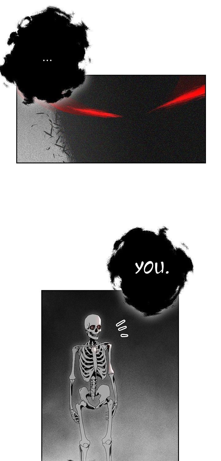 Skeleton Soldier Couldnt Protect The Dungeon 95 57