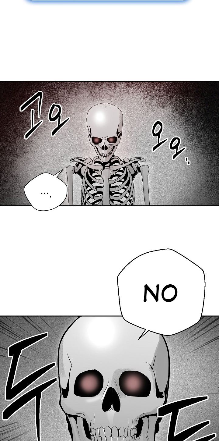 Skeleton Soldier Couldnt Protect The Dungeon 96 5