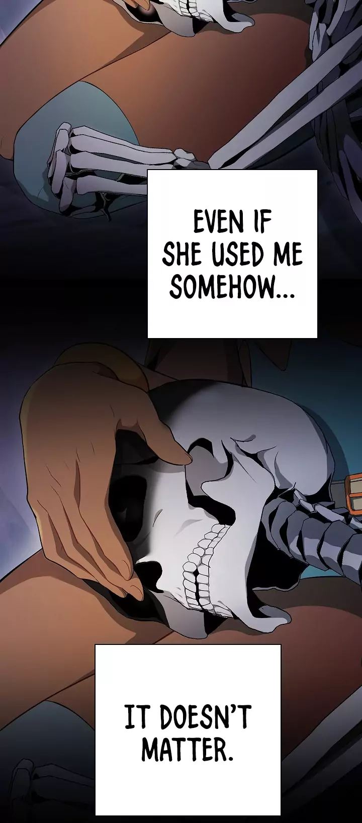 Skeleton Soldier Couldnt Protect The Dungeon 97 37