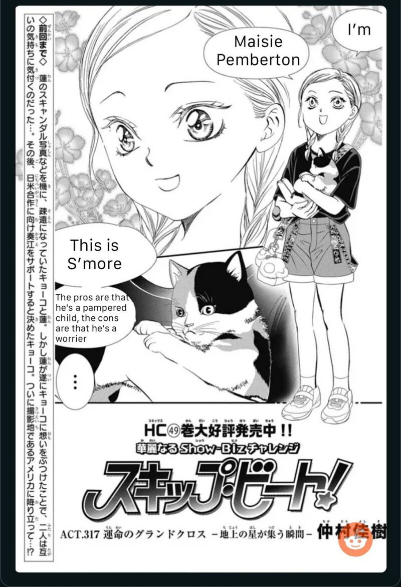 Skip Beat 317 1