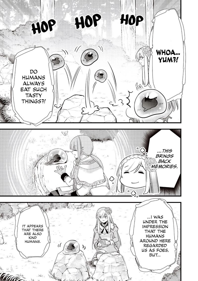 Slime Seijo 60 12