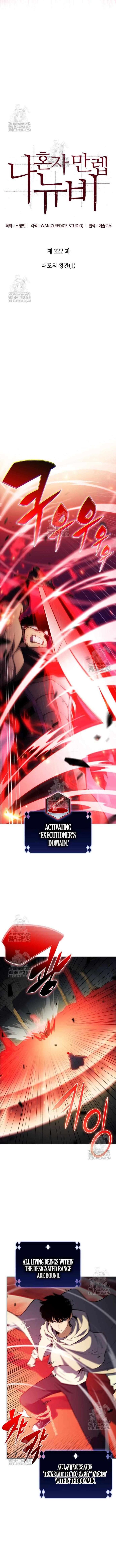 Solo Max Level Newbie 222 3