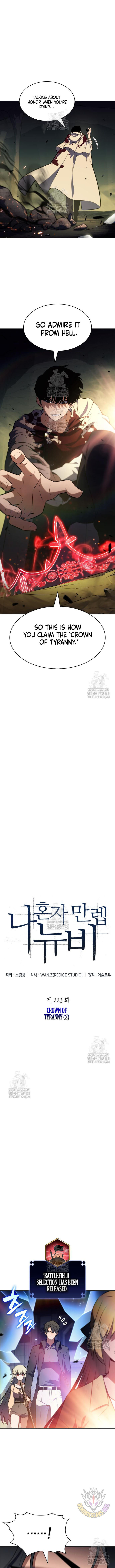 Solo Max Level Newbie 223 6