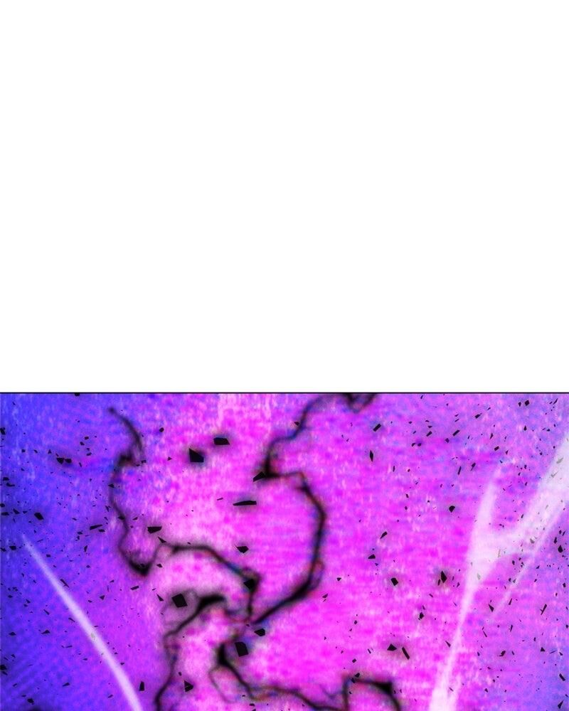 Solo Spell Caster 202 132