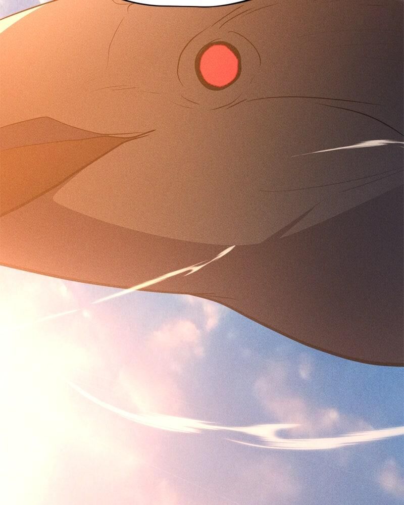 Solo Spell Caster 208 28