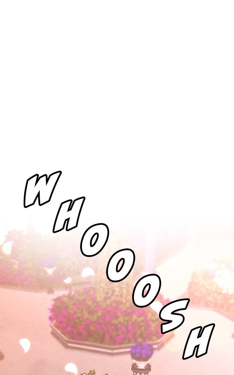 Solo Spell Caster 212 27