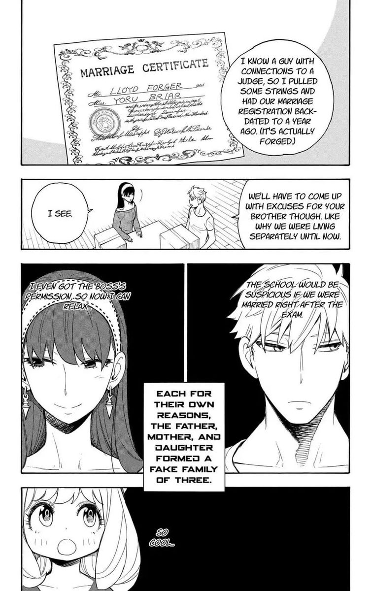 Spy X Family 3 3
