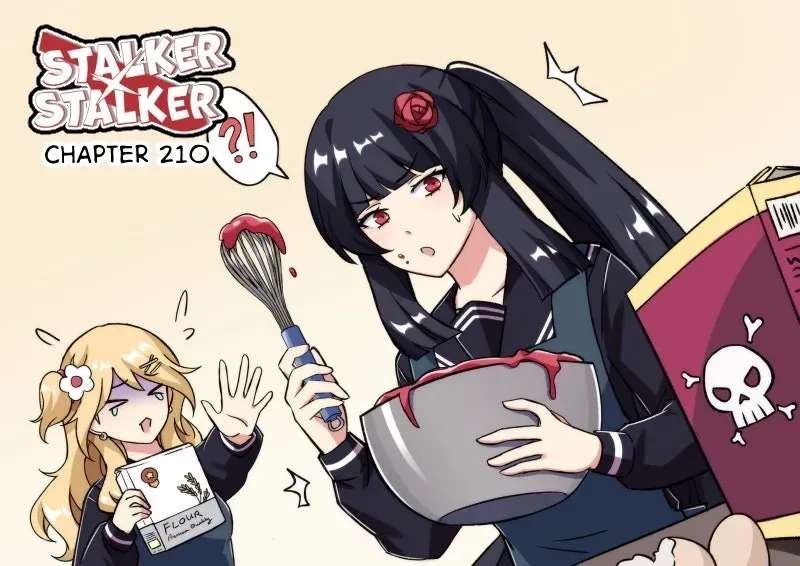 Stalker X Stalker 213 1