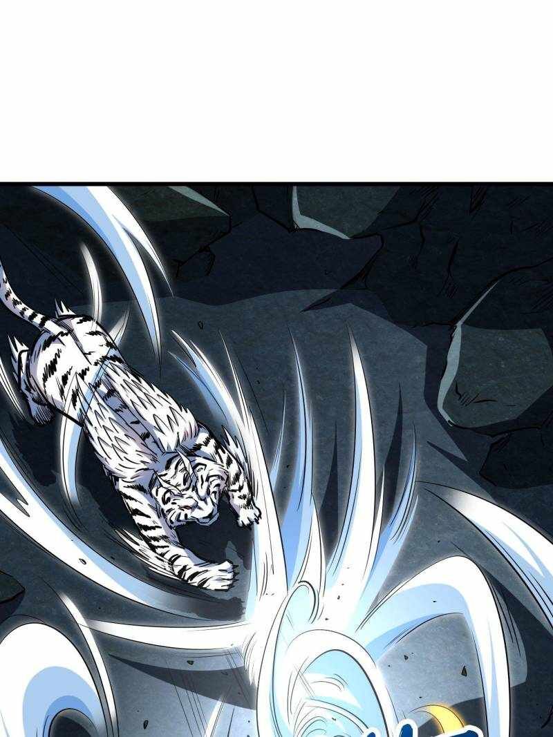 Super Gene 205 22