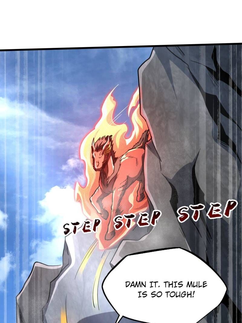 Super Gene 218 12