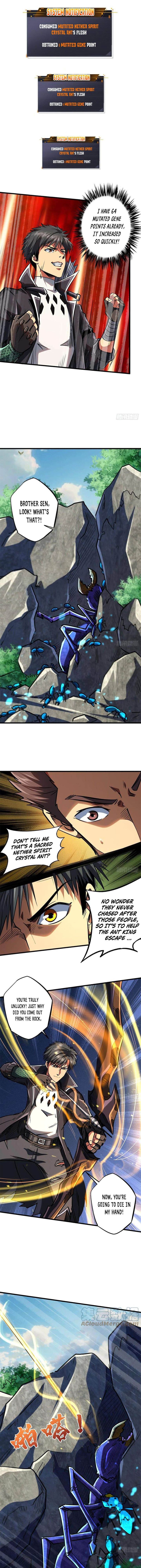 Super Gene 61 7