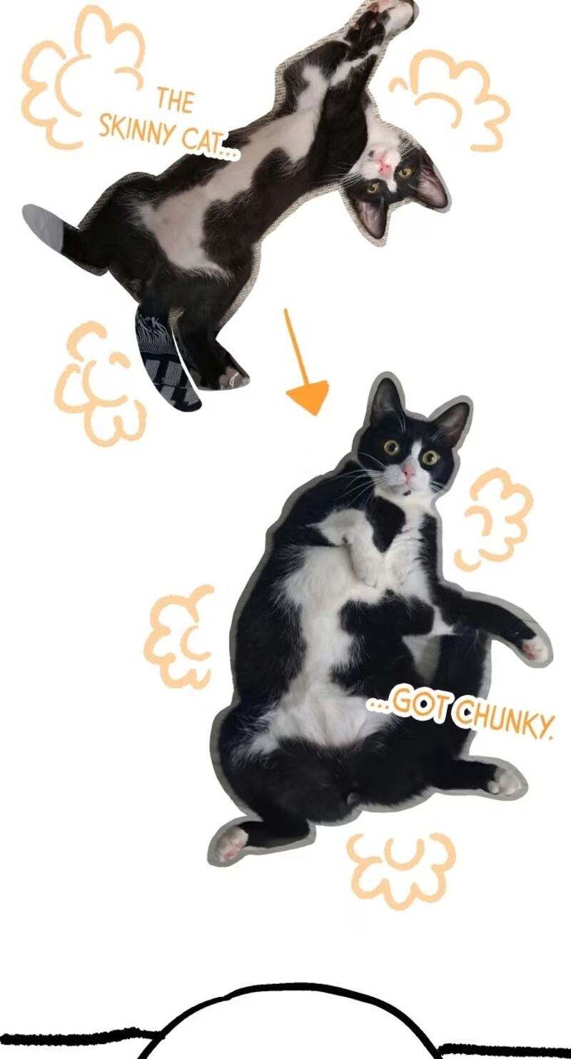 Surviving The Game As A Barbarian 152a 26
