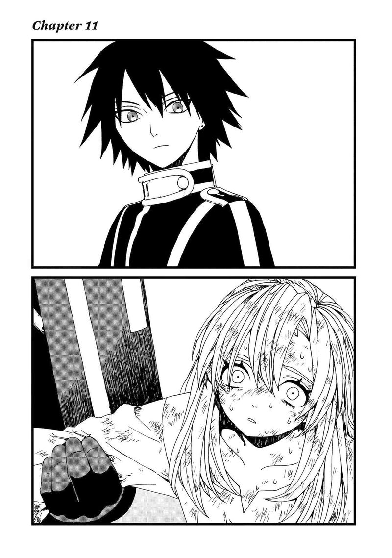 Sute Akuyaku Reijou Wa Kaibutsu Ni Otogibanashi Wo Kataru 11 2