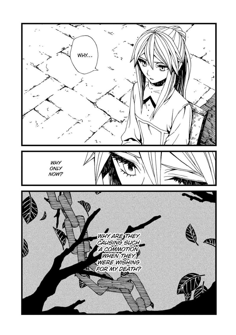 Sute Akuyaku Reijou Wa Kaibutsu Ni Otogibanashi Wo Kataru 7 27