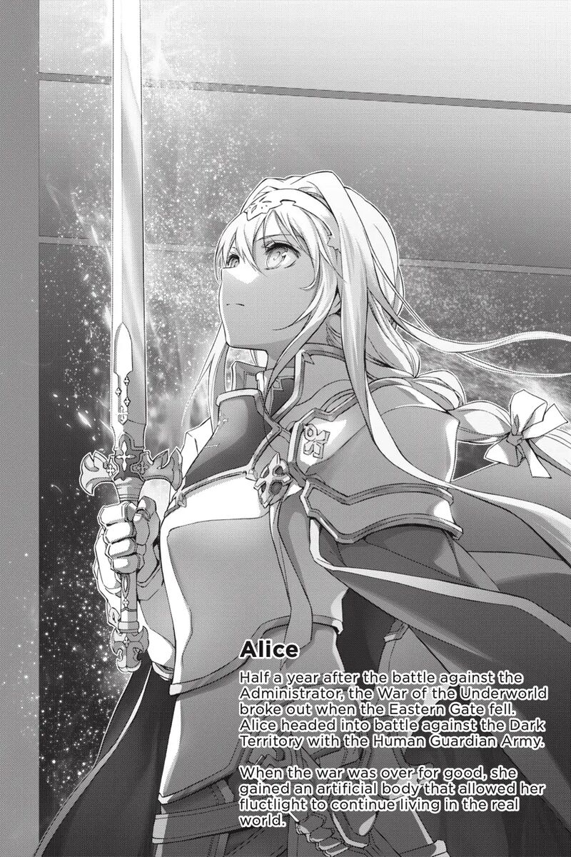 Sword Art Online Alicization 30 23
