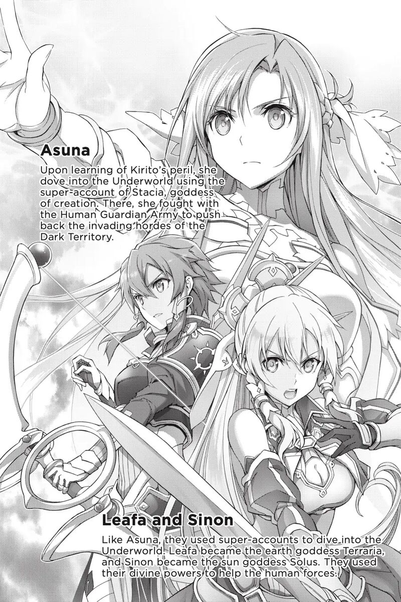 Sword Art Online Alicization 30 25