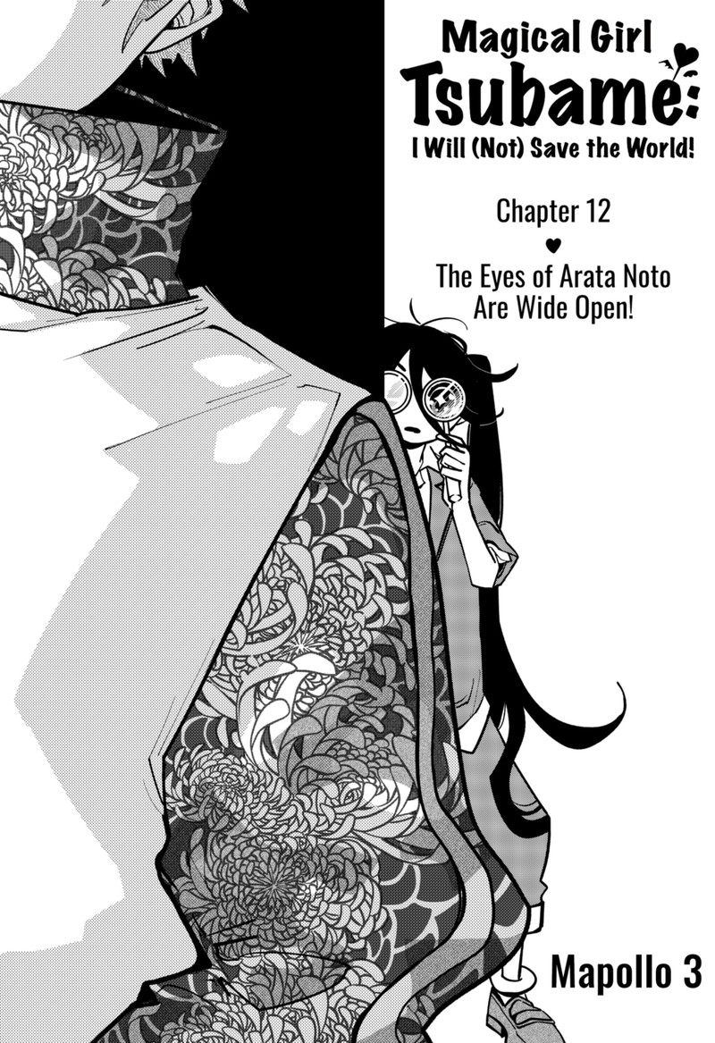 Tai Sekaiyou Mahou Shoujo Tsubame 12 1