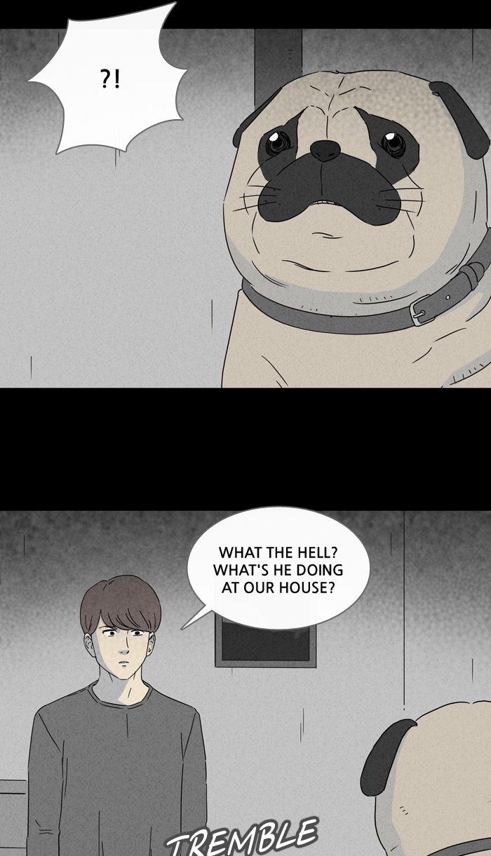 Tales Of The Unusual 240 13