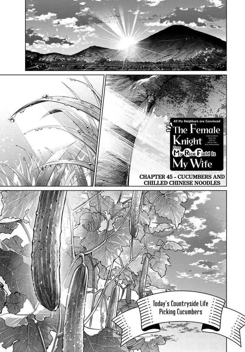Tanbo De Hirotta Onna Kishi Inaka De Ore No Yome Da To Omowareteiru 45 1