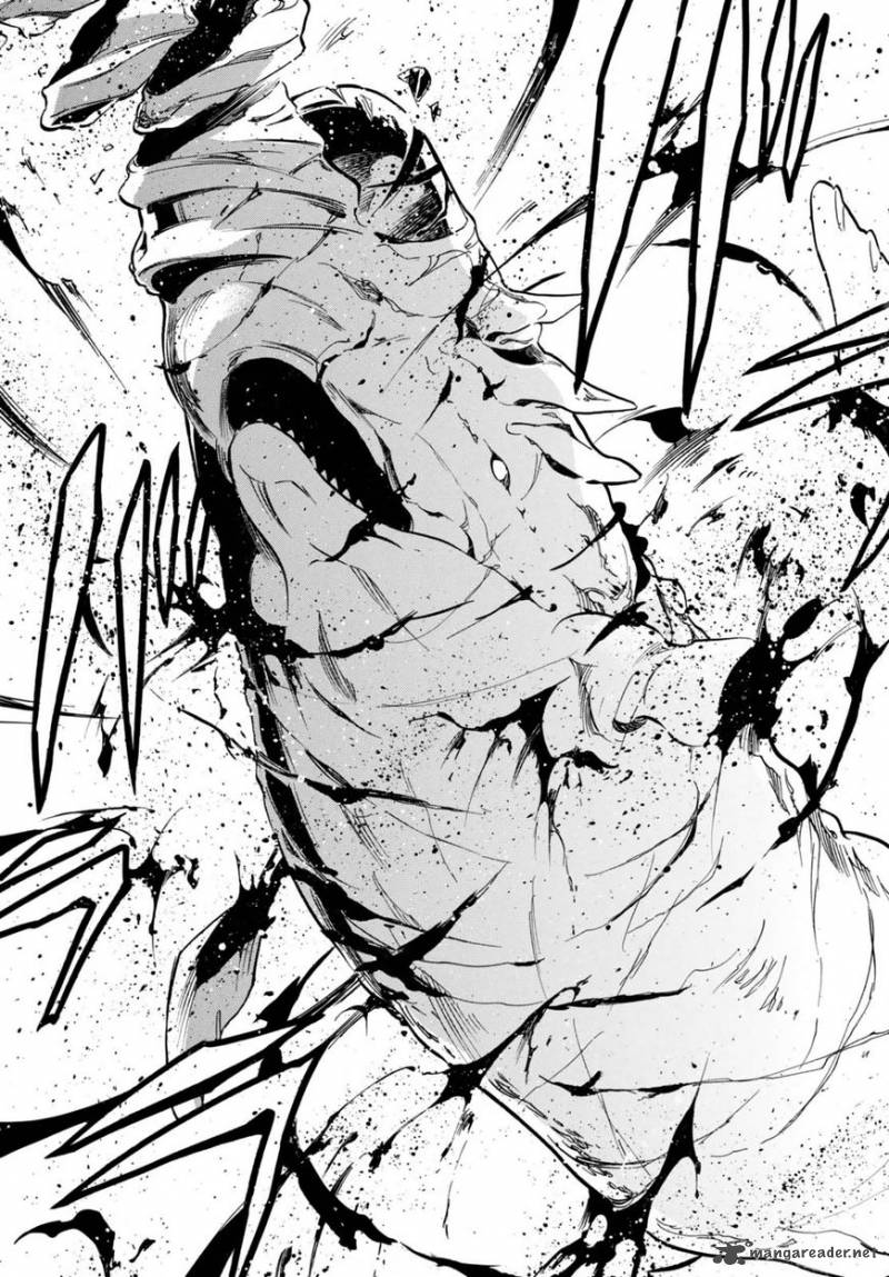 Tate No Yuusha No Nariagari 39 25
