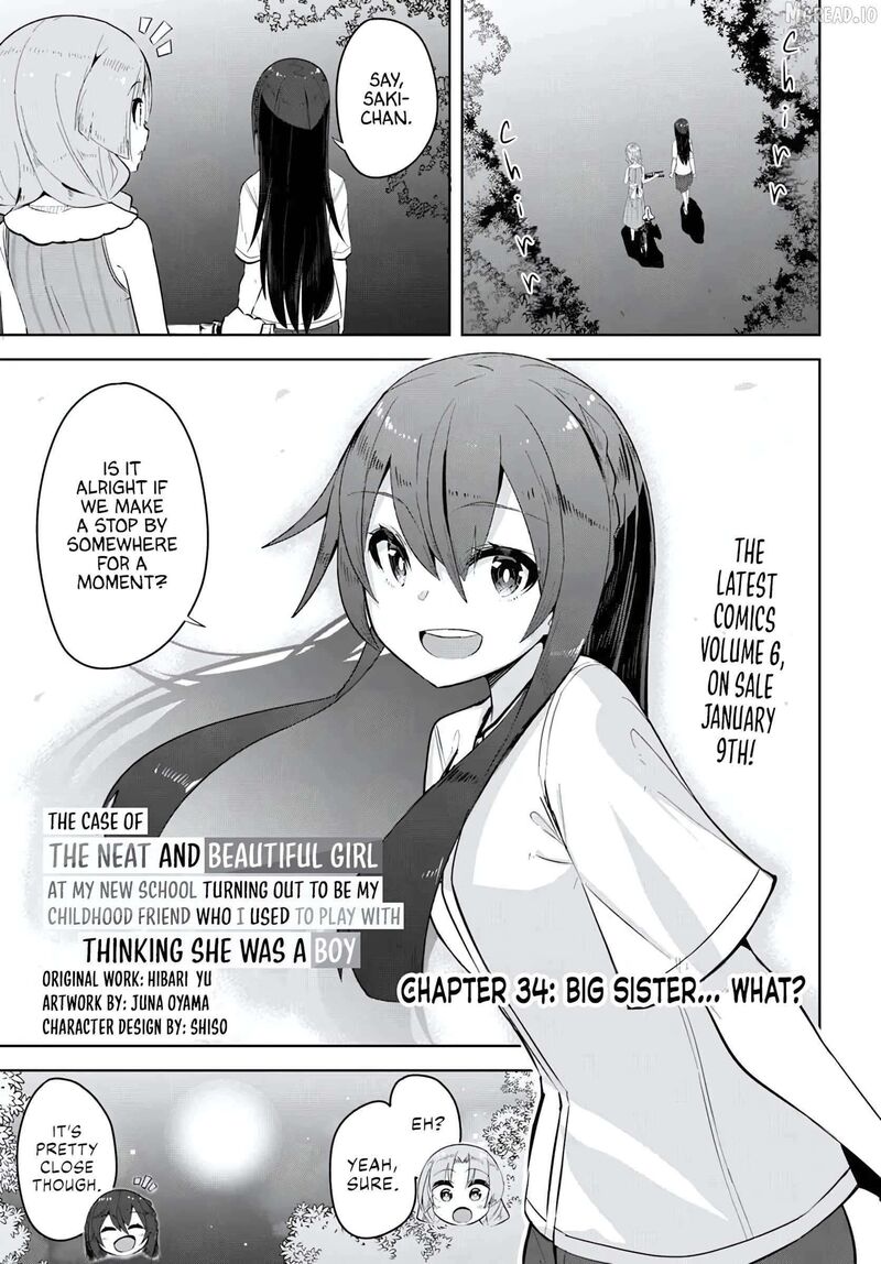 Tenkou Saki No Seiso Karen Na Bishoujo Ga Mukashi Danshi To Omotte Issho Ni Asonda Osananajimi Datta Ken 34 1