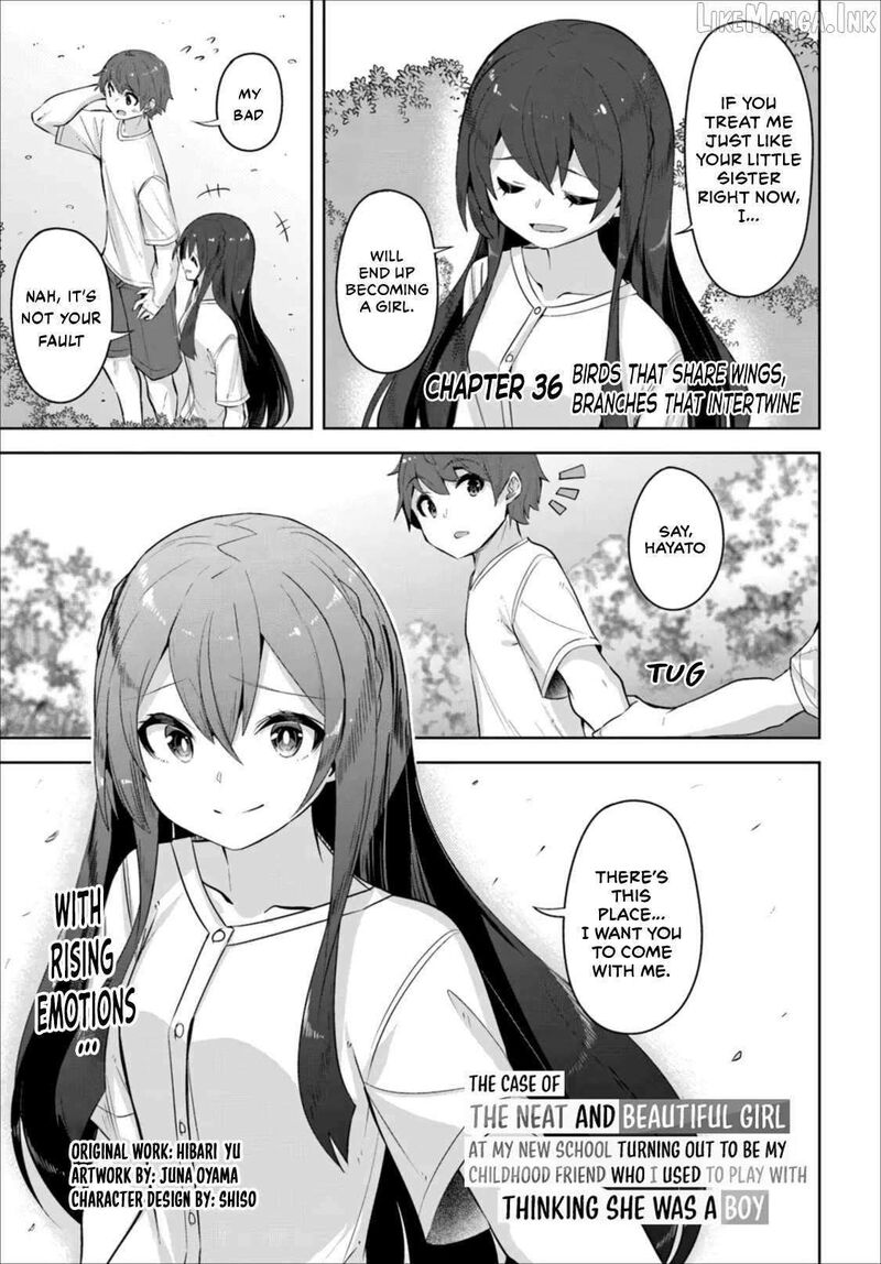 Tenkou Saki No Seiso Karen Na Bishoujo Ga Mukashi Danshi To Omotte Issho Ni Asonda Osananajimi Datta Ken 36 1