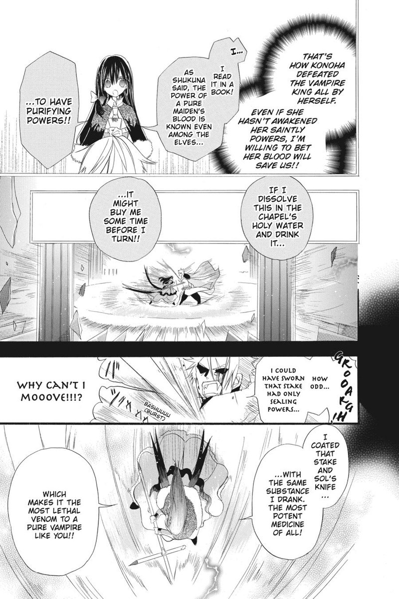 Tensei Akujo No Kuro Rekishi 17 13