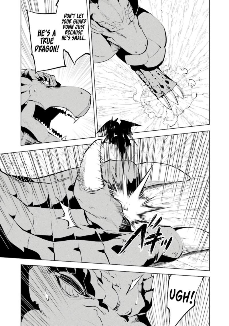 Tensei Kenja No Isekai Raifu Daini No Shokugyo Wo Ete Sekai Saikyou Ni Narimashita 26 21