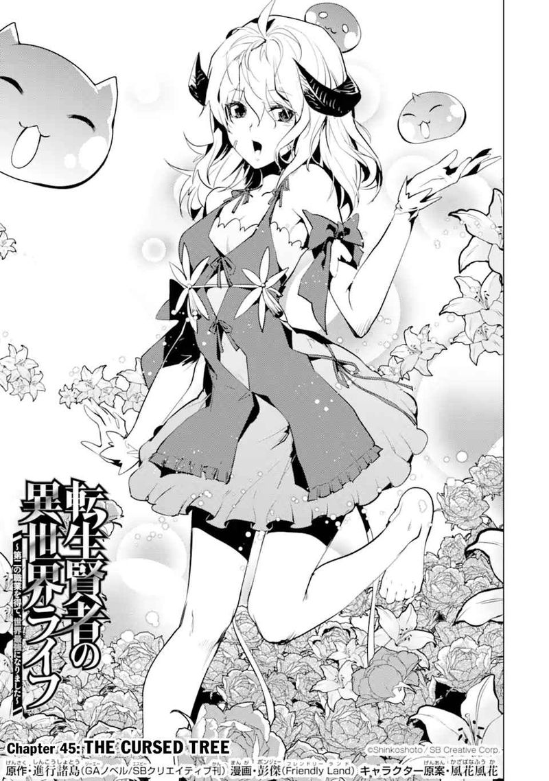 Tensei Kenja No Isekai Raifu Daini No Shokugyo Wo Ete Sekai Saikyou Ni Narimashita 45 1