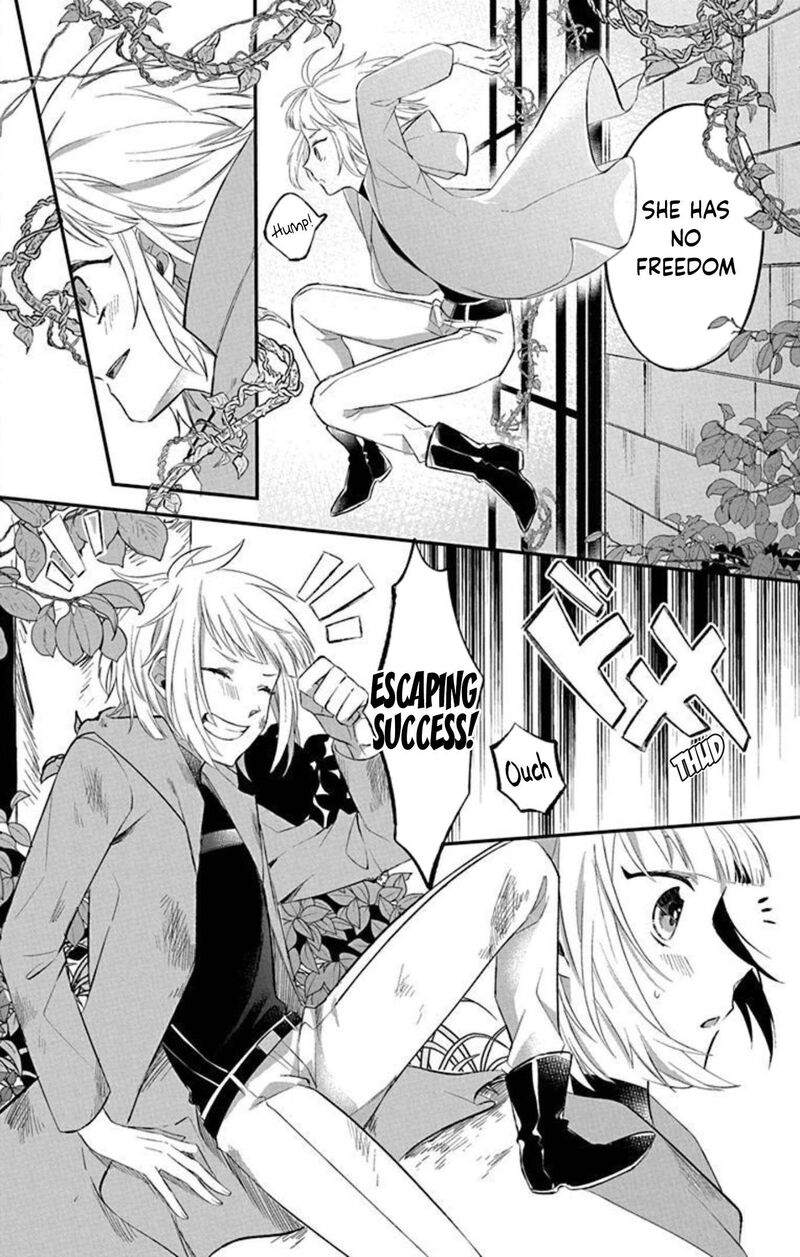 Tensei Shitara Hime Datta Node Dansou Joshi Kiwamete Saikyou Mahou Tsukai Mezasuwa 1a 12