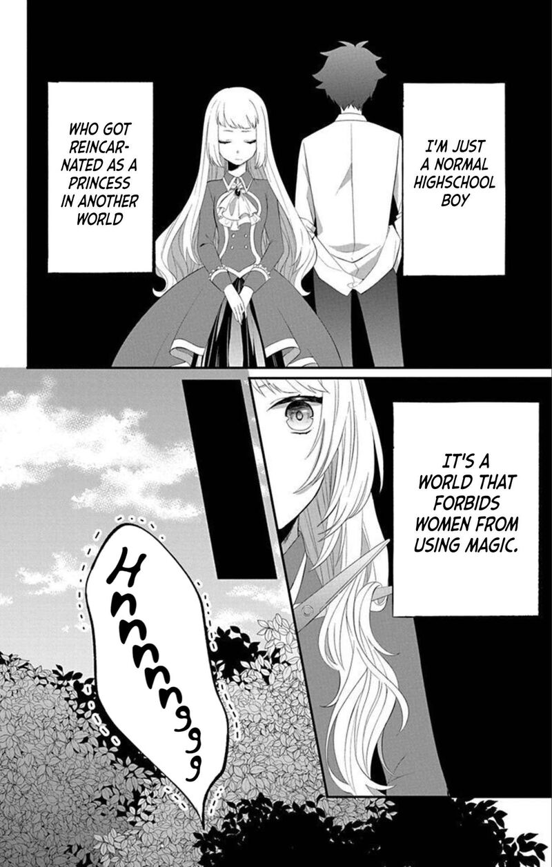 Tensei Shitara Hime Datta Node Dansou Joshi Kiwamete Saikyou Mahou Tsukai Mezasuwa 2 1