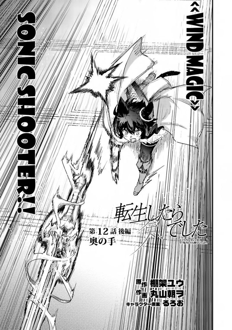 Tensei Shitara Ken Deshita 12 15