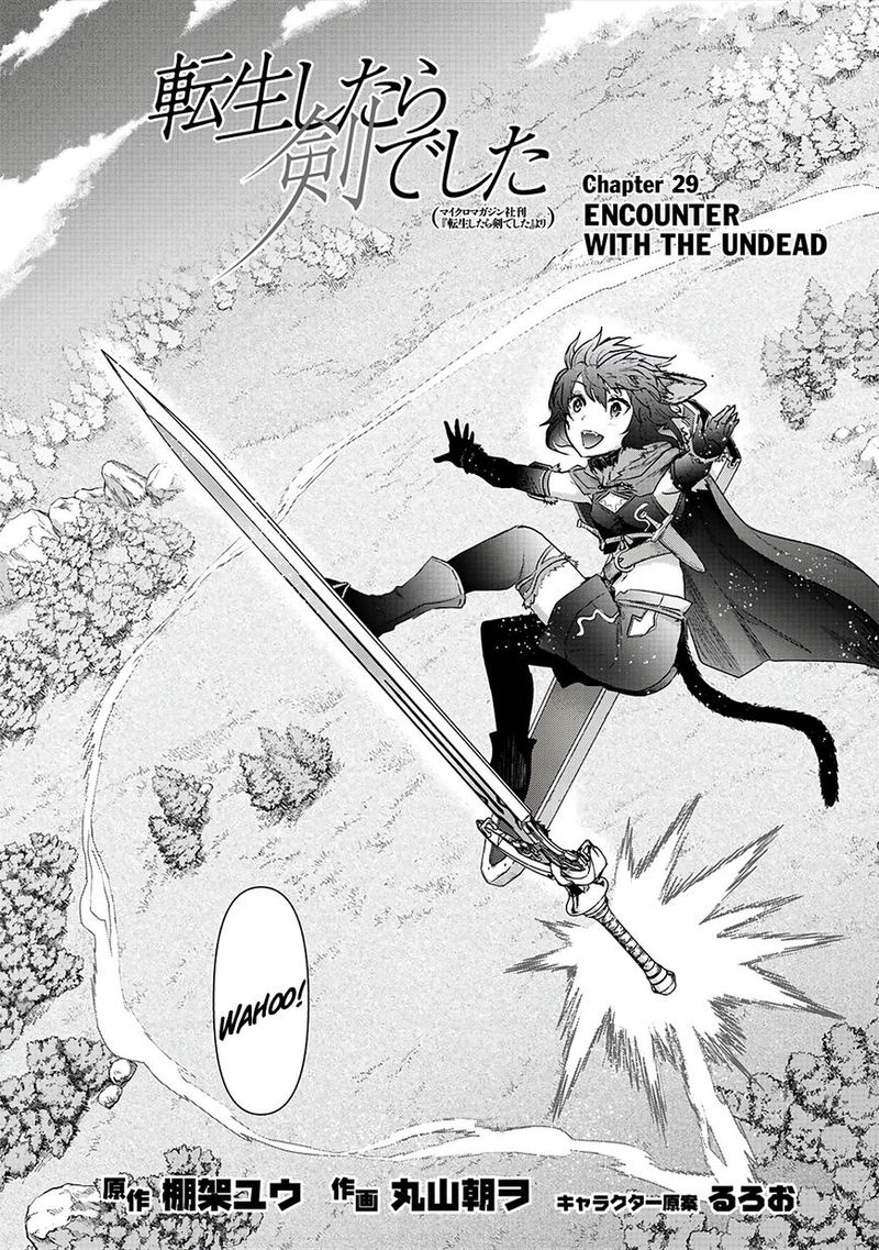 Tensei Shitara Ken Deshita 29 1