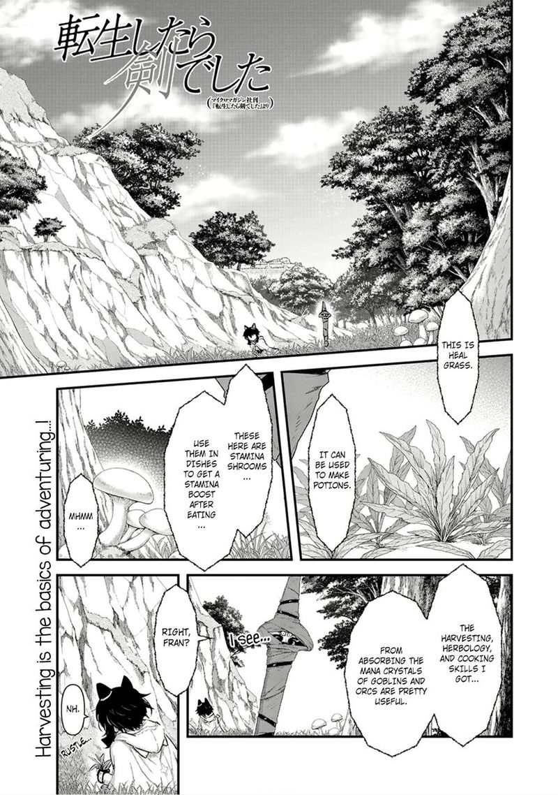 Tensei Shitara Ken Deshita 8 1