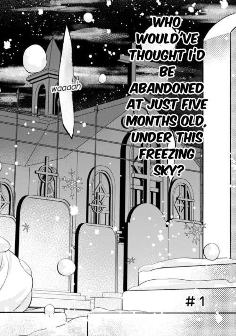 Tensei Shitara Suterareta Ga Hirowarete Tanoshiku Ikiteimasu 1 2